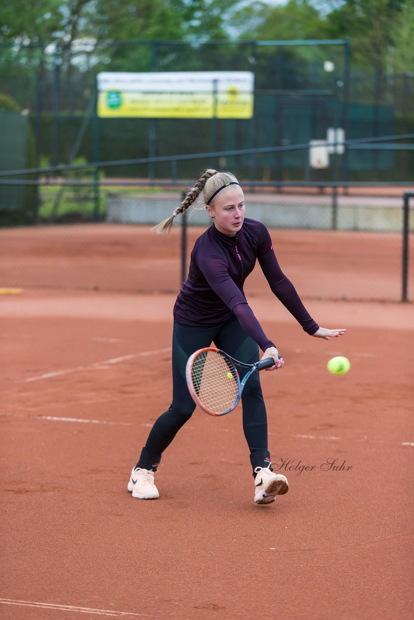 Bild 424 - NL VfL Westercelle - SVE Wiefelstede : Ergebnis: 8:1